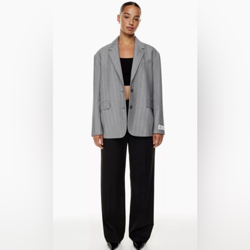 Aritzia Babaton Vogue Blazer